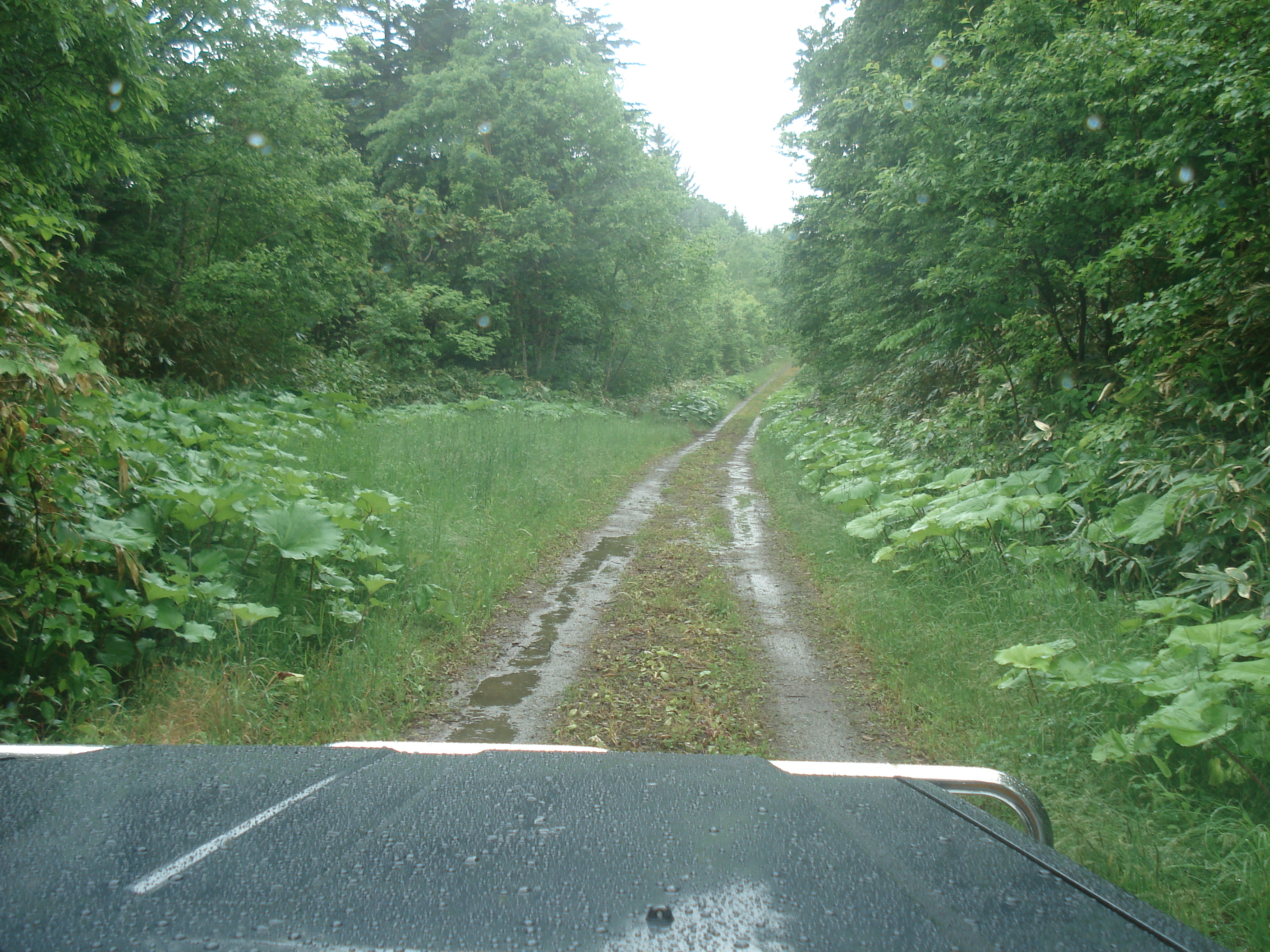 北海道林道