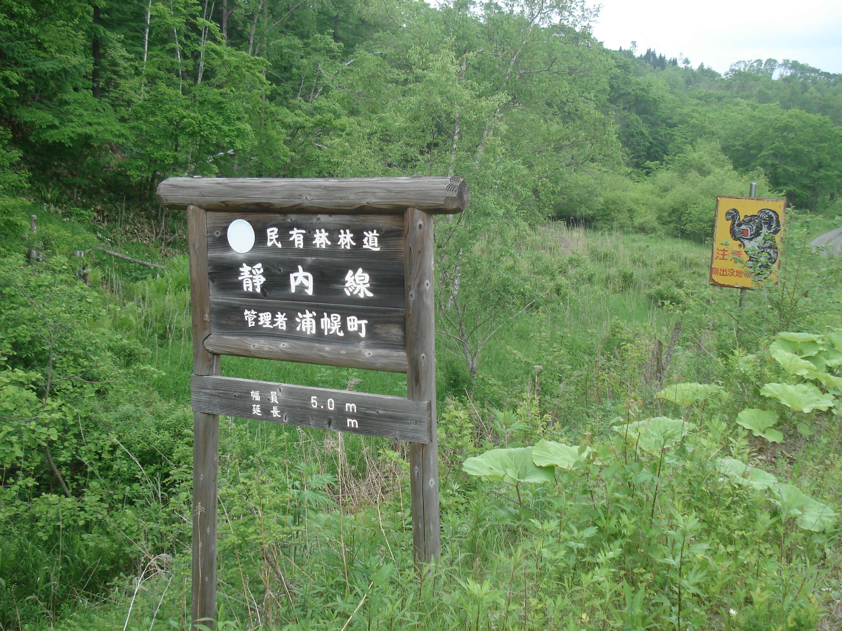 静内林道