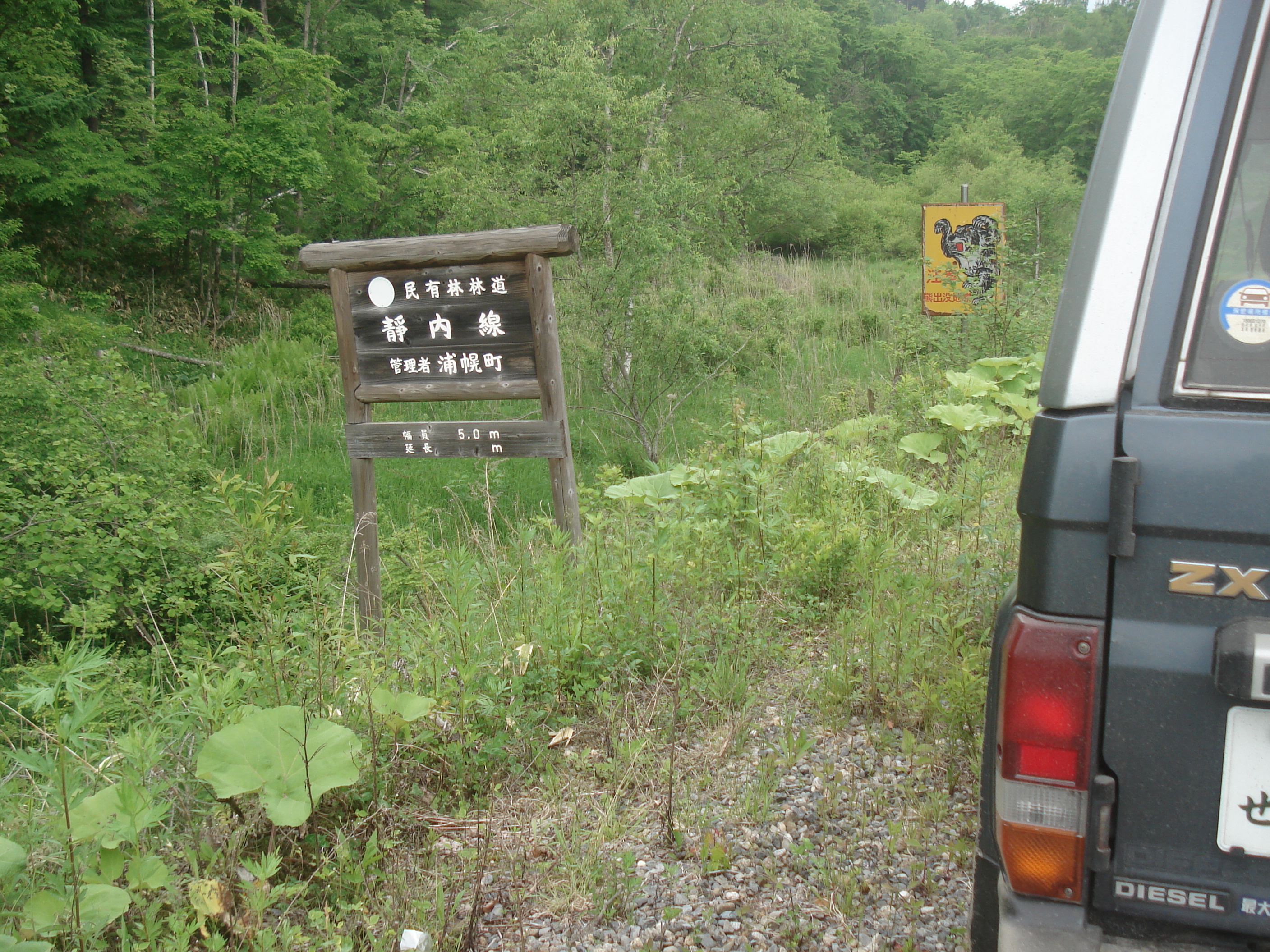 静内林道