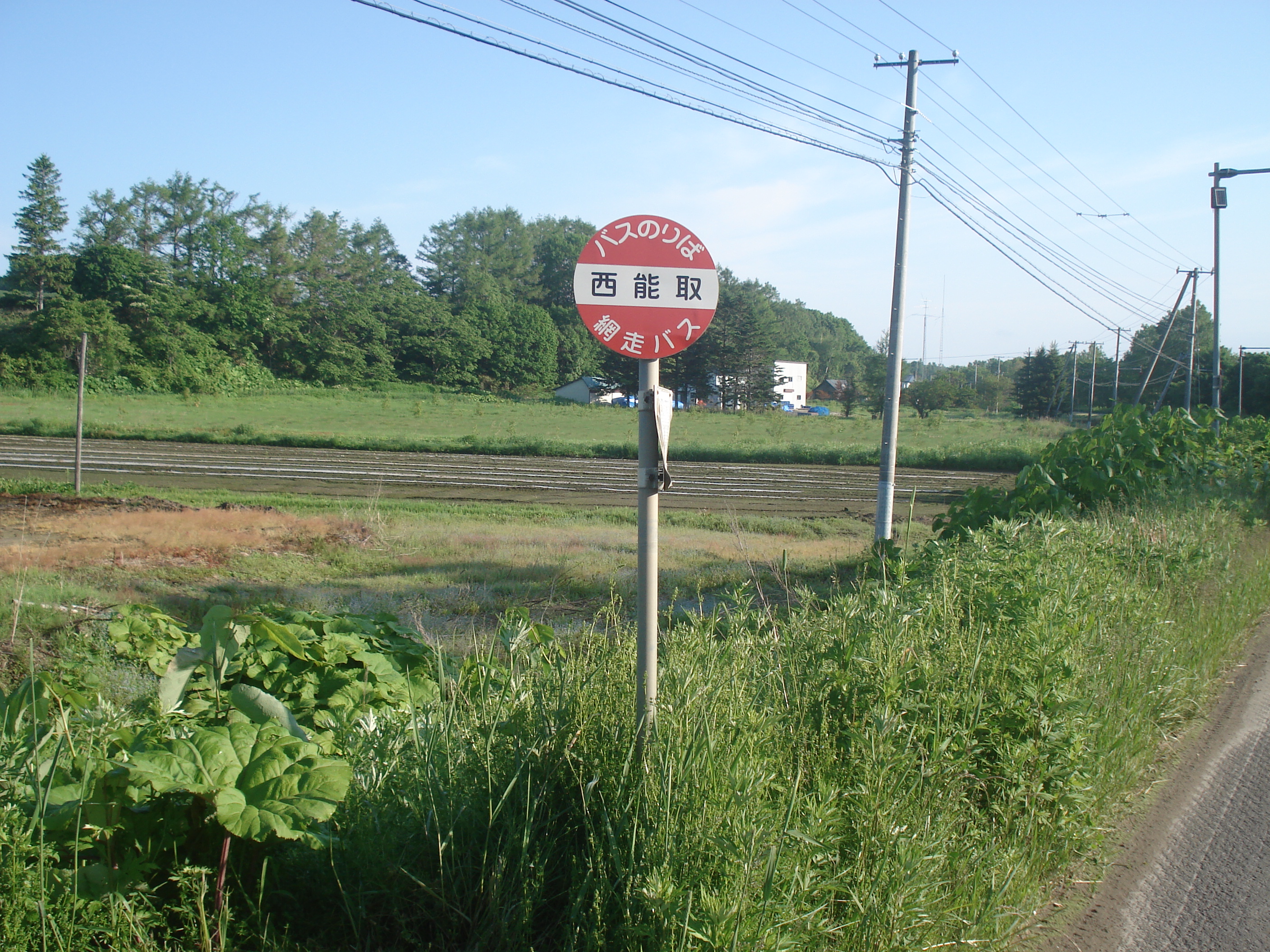 西能バス停入り口林道