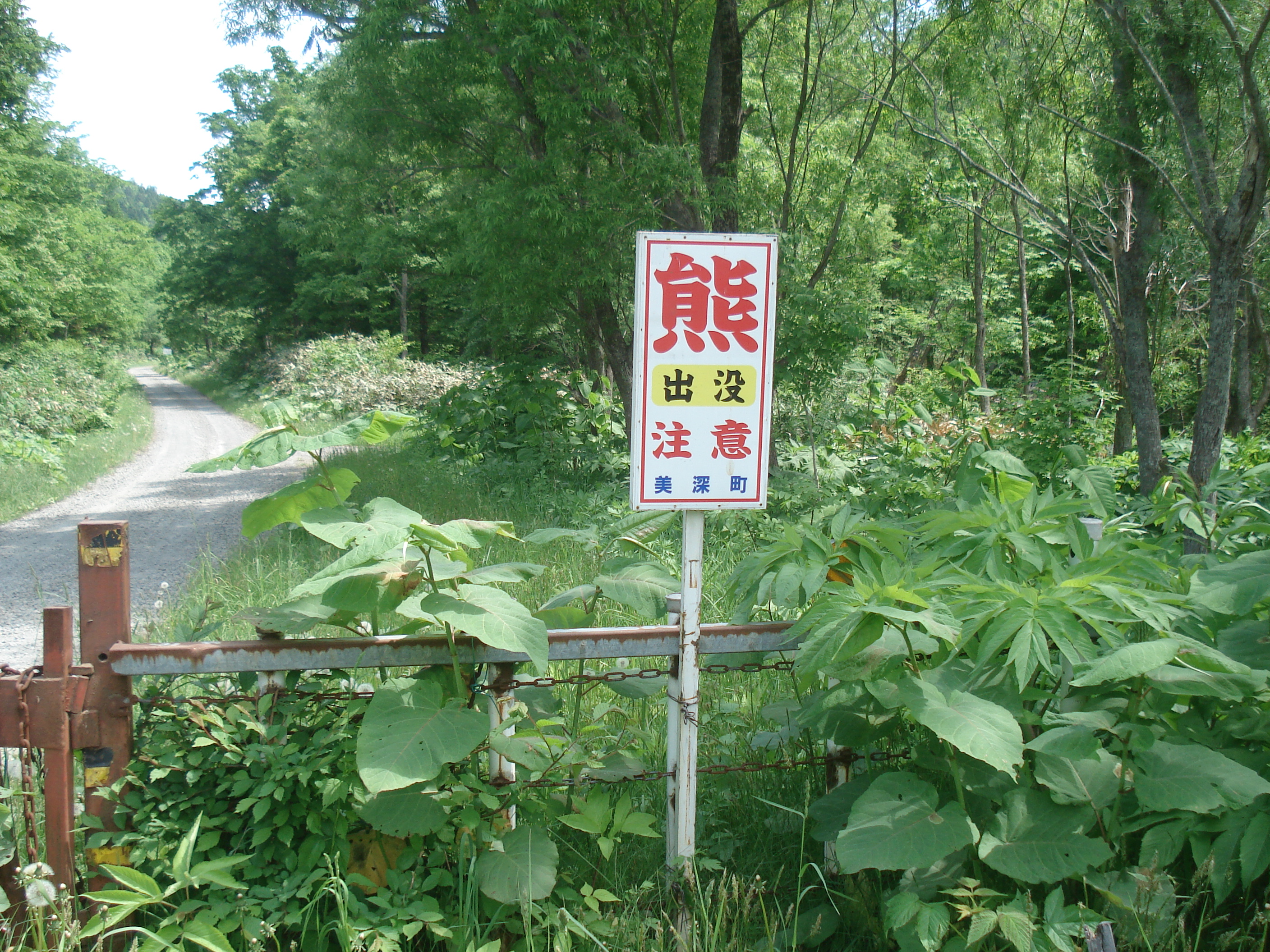 北海道林道